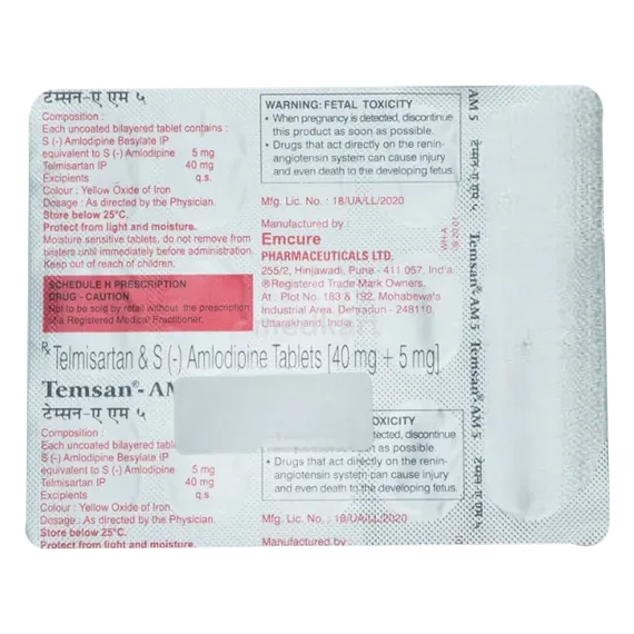 temsan am 2.5mg tablet 15's